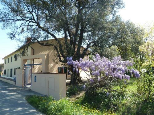 Agroturismo Al Vecchio Leccio
