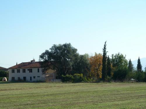 Agroturismo Al Vecchio Leccio