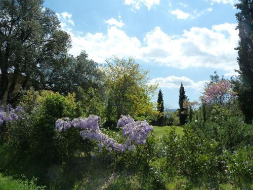 Agroturismo Al Vecchio Leccio
