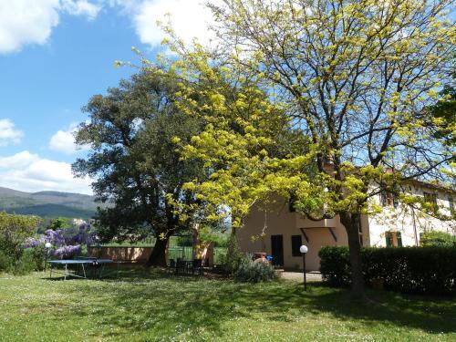 Agroturismo Al Vecchio Leccio