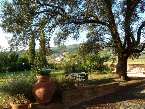 Agroturismo Al Vecchio Leccio