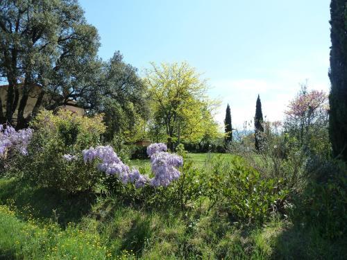 Agroturismo Al Vecchio Leccio