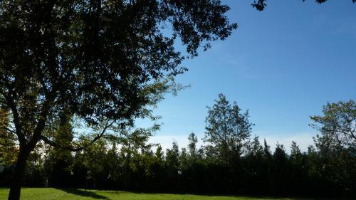 Agroturismo Al Vecchio Leccio