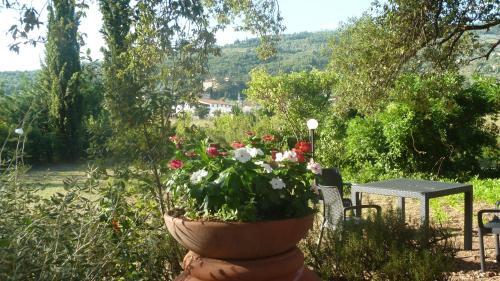 Agroturismo Al Vecchio Leccio