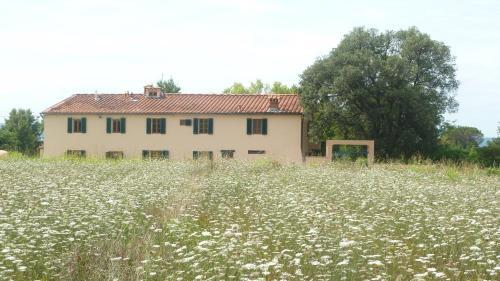 Agroturismo Al Vecchio Leccio