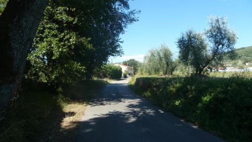 Agroturismo Al Vecchio Leccio