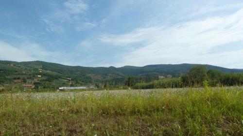 Agroturismo Al Vecchio Leccio