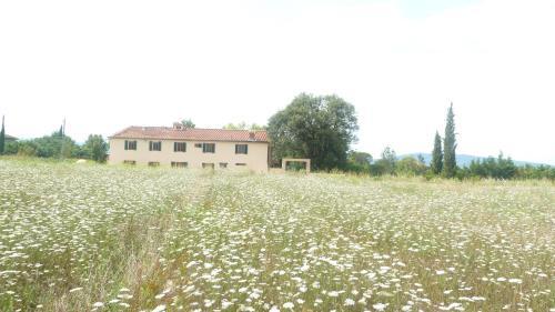 Agroturismo Al Vecchio Leccio