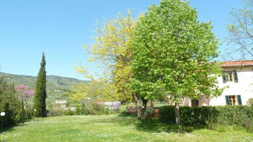 Agroturismo Al Vecchio Leccio