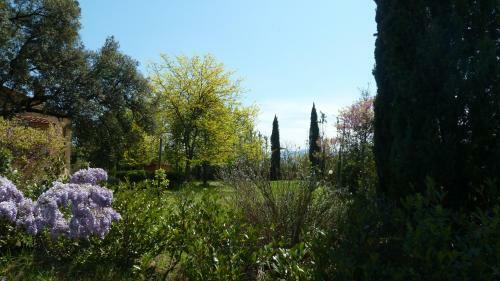Agroturismo Al Vecchio Leccio