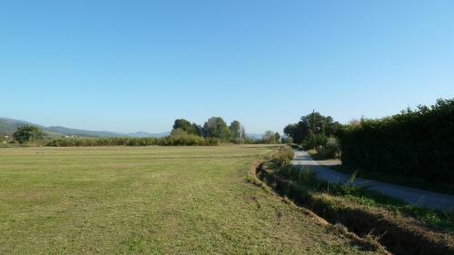 Agroturismo Al Vecchio Leccio