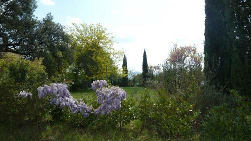 Agroturismo Al Vecchio Leccio