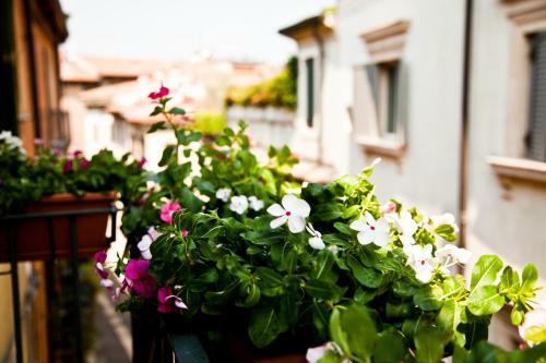 Bed & Breakfast Casa Della Scala