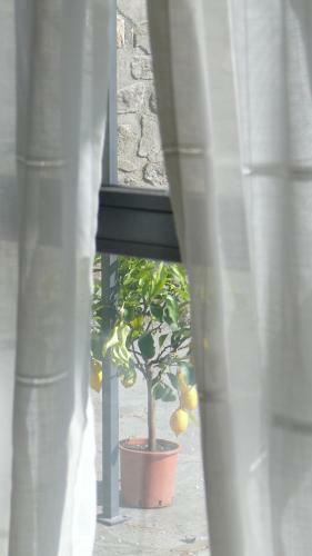 Apartamento Villa Degli Ulivi