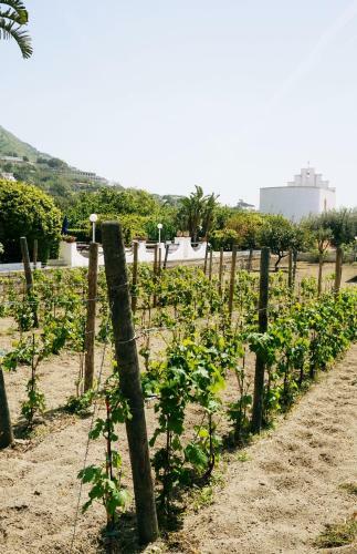 Apartamento Residence San Domenico