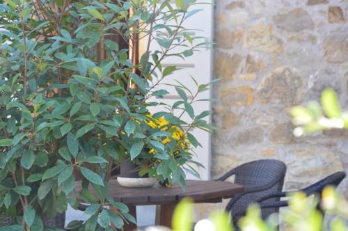 I Casaloni