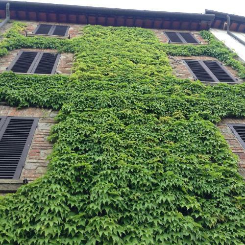 Apartamento Tre Girasoli