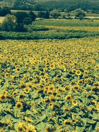 Apartamento Tre Girasoli