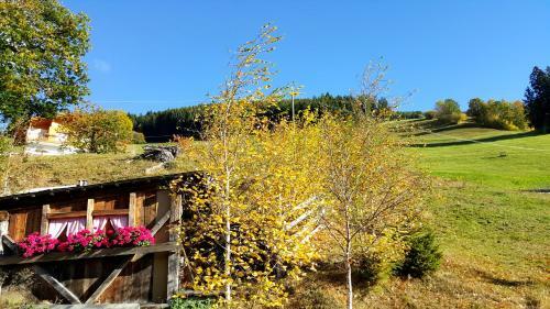 Bed & Breakfast Pension Verdinserh�he