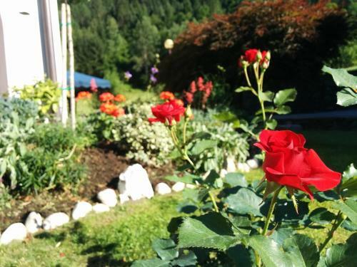 Apartamento Villetta Val Di Sole