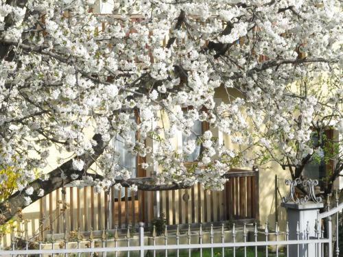 Apartamento Casa Seez
