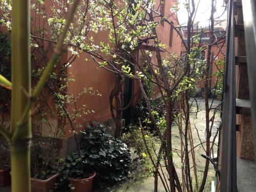 B&B Fiori Di Grano