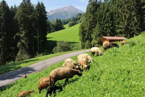 Agroturismo Residenz Erschbaum