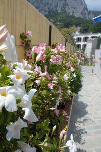 Hotel Guarracino