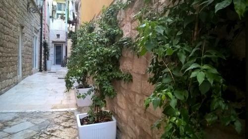 Apartamento Casa Vischi