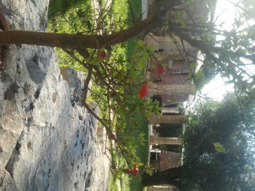 Agroturismo Tenuta Serre