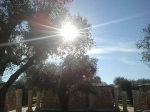 Agroturismo Tenuta Serre