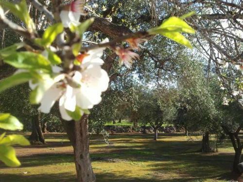 Agroturismo Tenuta Serre
