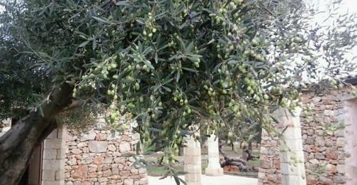 Agroturismo Tenuta Serre