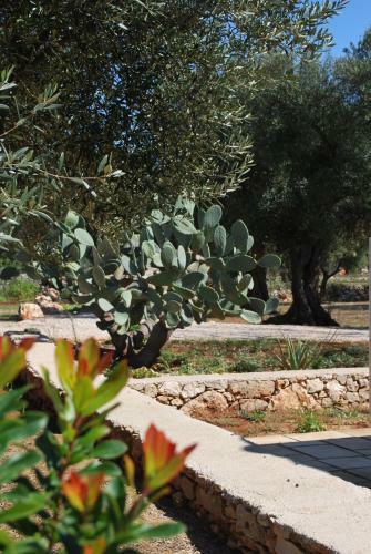 Agroturismo Tenuta Serre