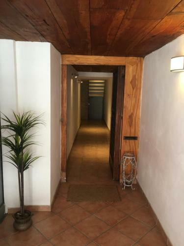 Hostal Affittacamere Arco Polinori