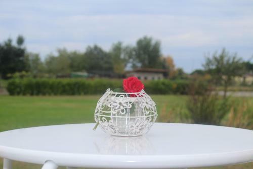 Bed & Breakfast Marelaguna Rooms