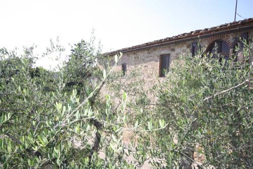 San Bartolomeo