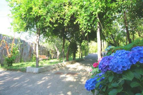 Apartamento Villa Rosmary