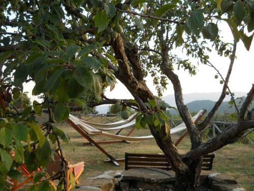 Agroturismo Guinzano