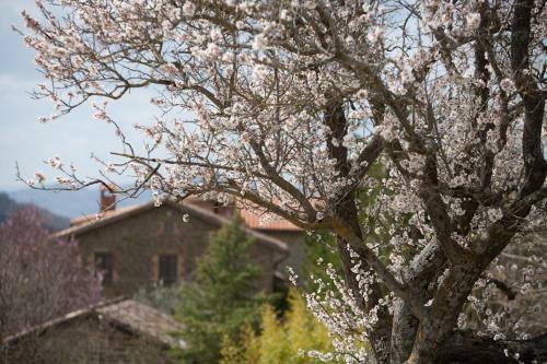 Agroturismo Guinzano