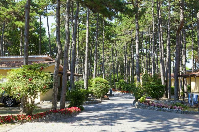 Hotel Villaggio Turistico Internazionale