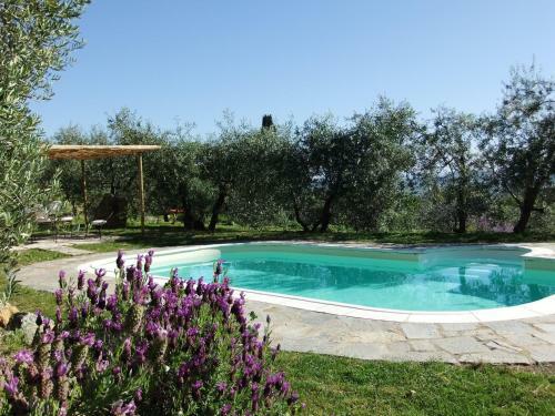 Agroturismo Agriturismo Il Castagnolino