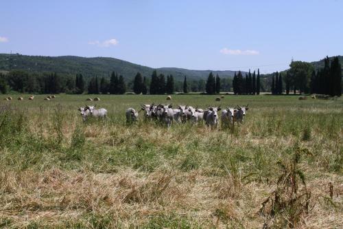 Apartamento Tenuta Di Paganico