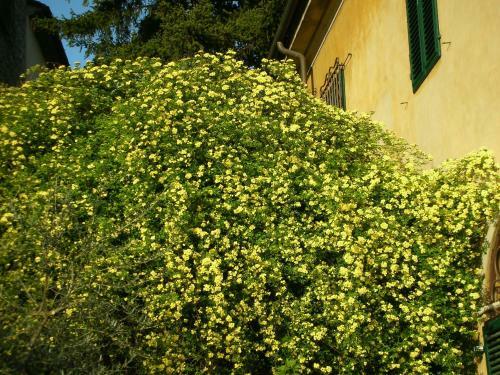 Hostal Locanda Giolica