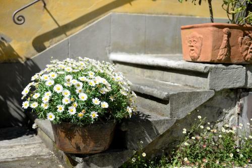 Hostal Locanda Giolica