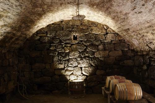 Hotel Schloss Plars Wine & Suites