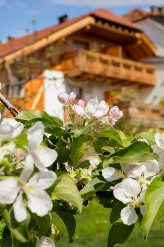 Apartamento Neuhauserhof