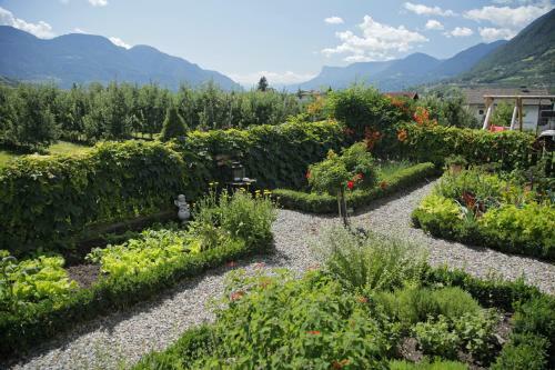 Apartamento Neuhauserhof