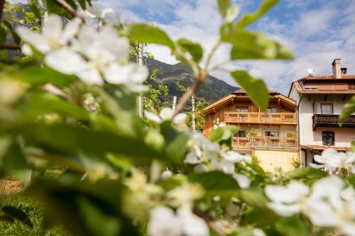 Apartamento Neuhauserhof
