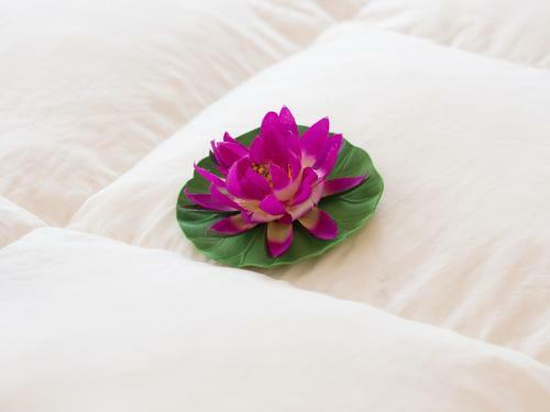 Hostal Camere Fontanavecchia